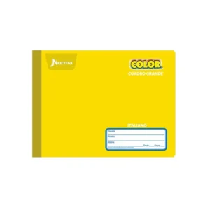 Cuaderno Norma Color Forma Italiana Cuadro Grande 100 Hojas.