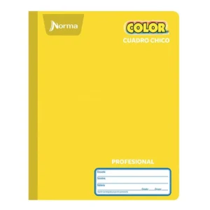 Cuaderno Norma Color Profesional Cuadro Chico 100 Hojas.