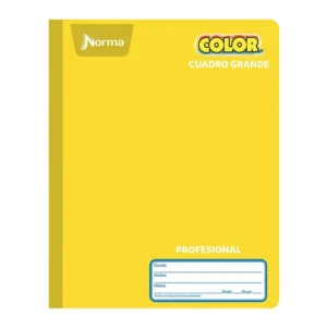 Cuaderno Norma Color Profesional Cuadro Grande 100 Hojas.