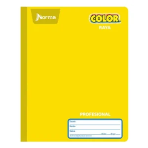 Cuaderno Norma Color Profesional Raya 100 Hojas.